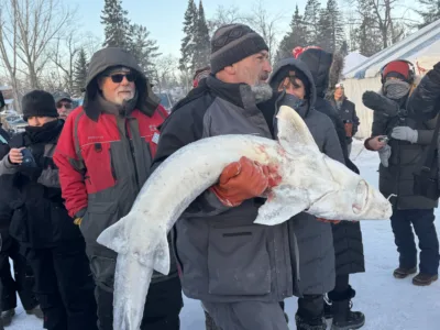 Cavitt introduces legislation to protect lake sturgeon